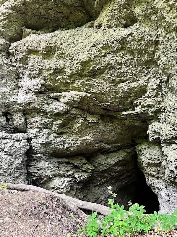 Печера Думка, у якій знайшли водорості та мох (Фото: Надія Капець/Дністровський РЛП та друзі/Facebook)