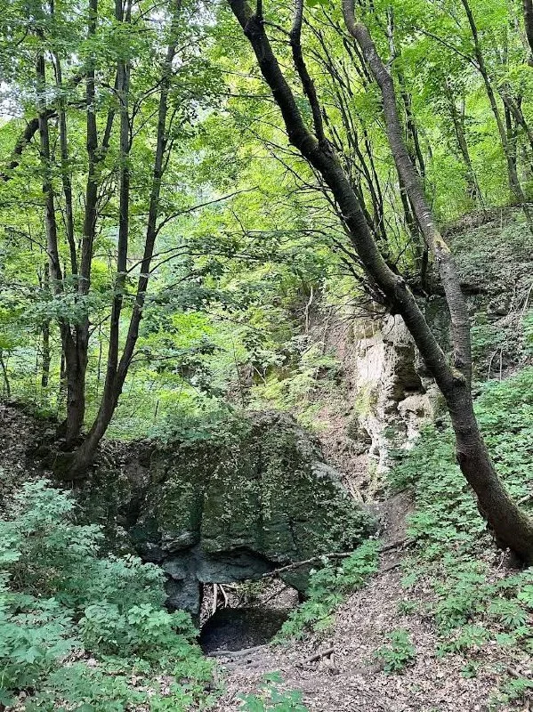 Вхід у печеру Думка на Івано-Франківщині (Фото: Надія Капець/Дністровський РЛП та друзі/Facebook)