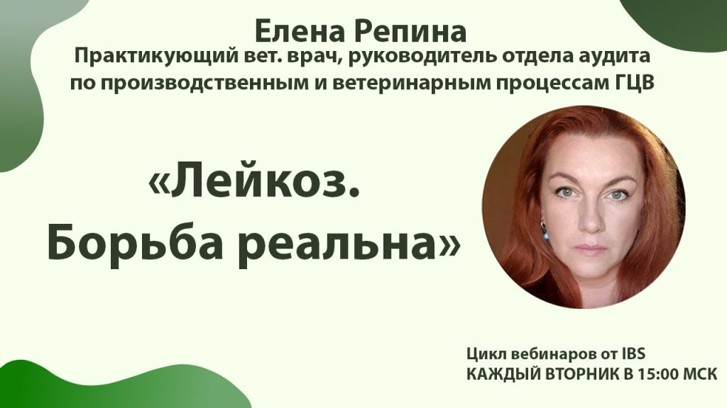 Елена Репина Личная Жизнь: подробности и факты о биографии и карьере