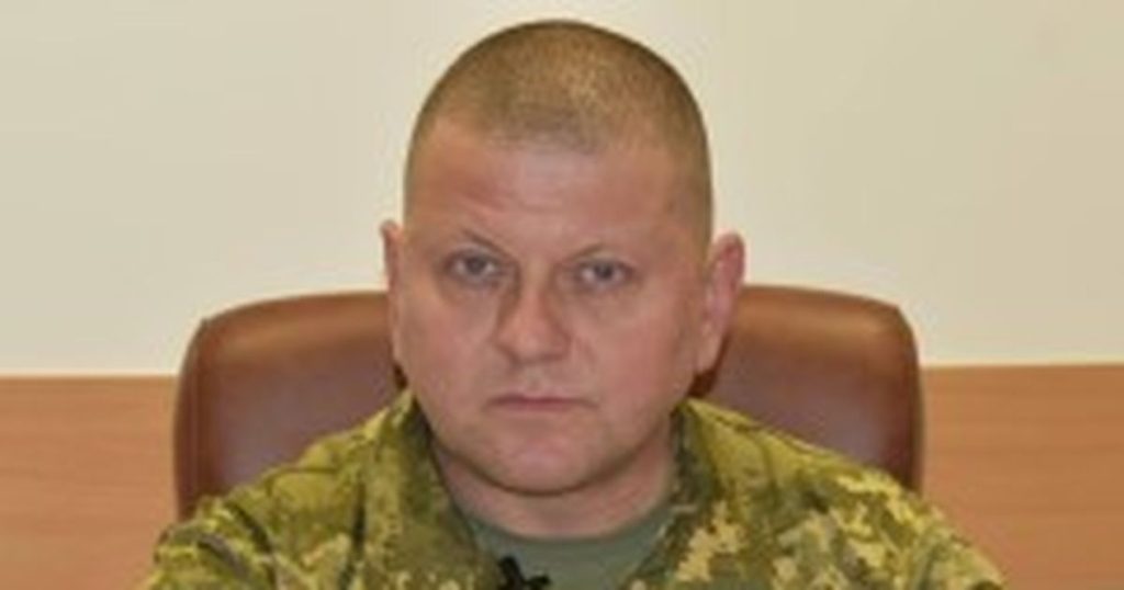 Валерий Залужный Родители Национальность – подробности биографии и карьеры