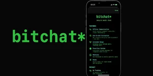 Інтерфейс і логотип Bitchat (Фото: X)