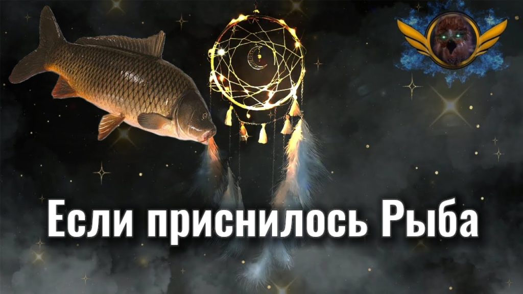 К Чему Снится Рыба: Толкования, Символика и Значение Сновидения