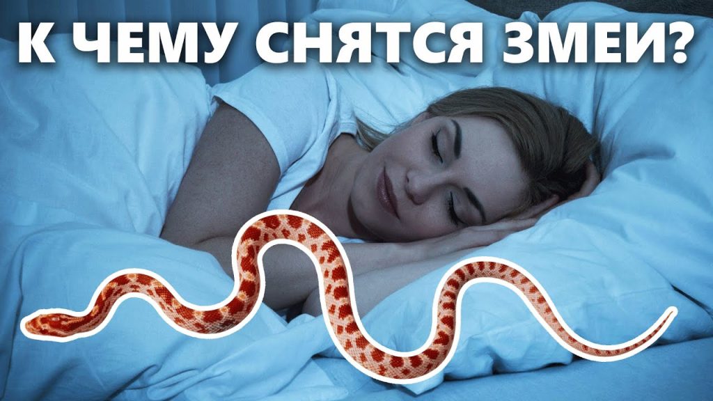 К Чему Снится Змея: Значение, Символика и Толкования Сна