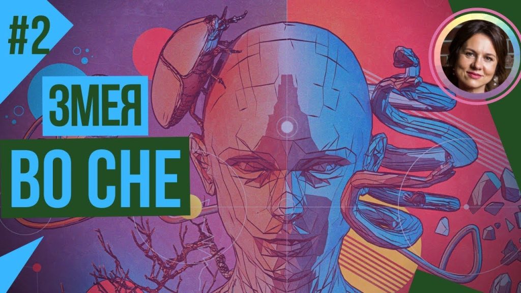К Чему Снится Змея: Значение, Символика и Толкования Сна