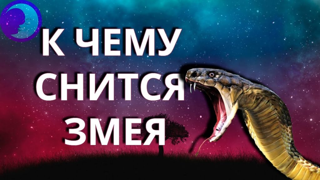 К Чему Снится Змея: Значение, Символика и Толкования Сна