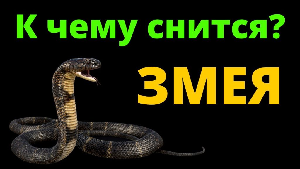 К Чему Снится Змея: Значение, Символика и Толкования Сна