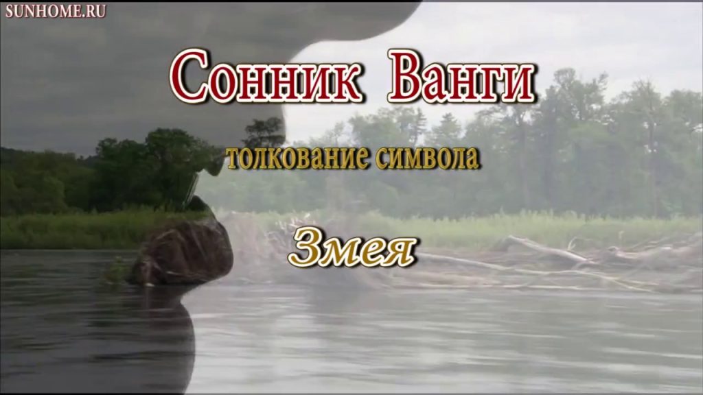 К Чему Снится Змея: Значение, Символика и Толкования Сна