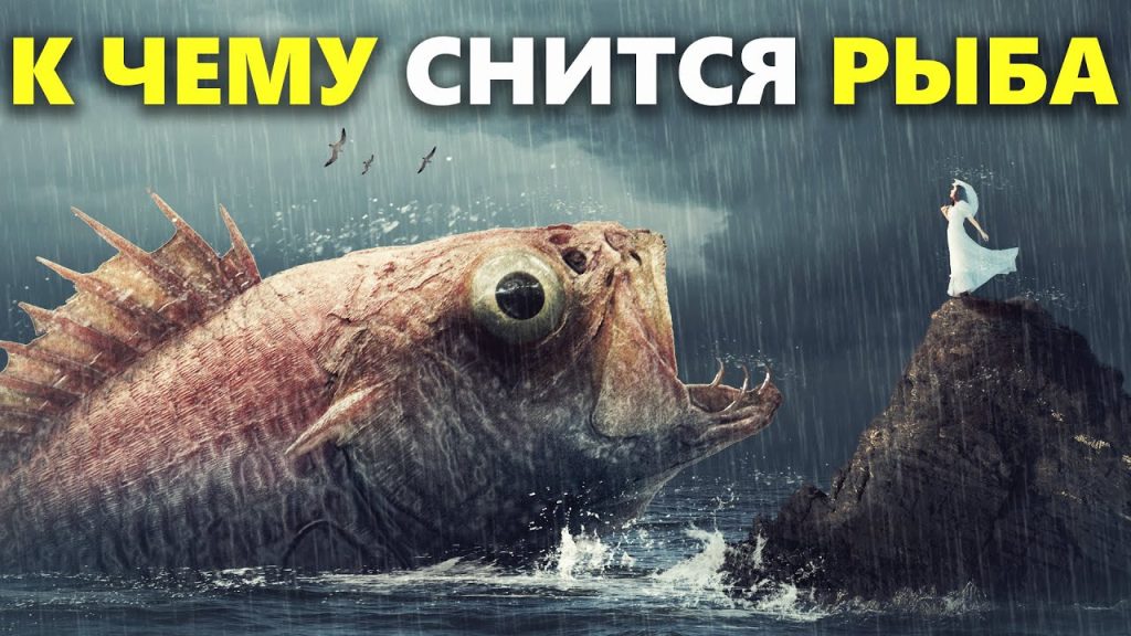 К Чему Снится Рыба: Толкования, Символика и Значение Сновидения